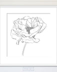 Peony