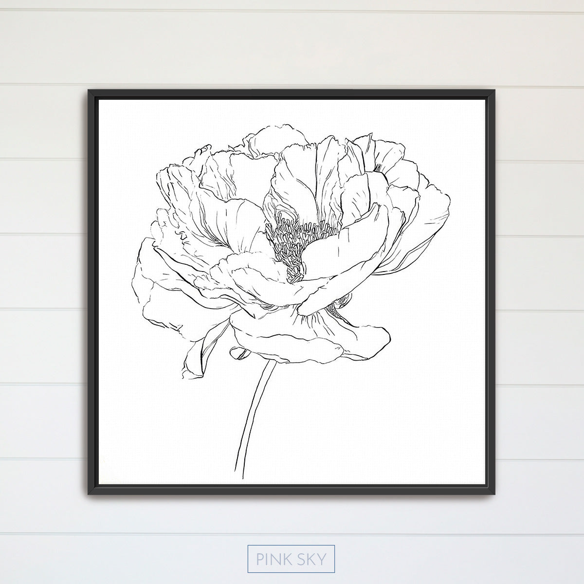 Peony