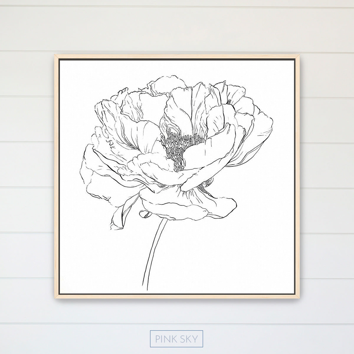 Peony