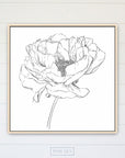 Peony