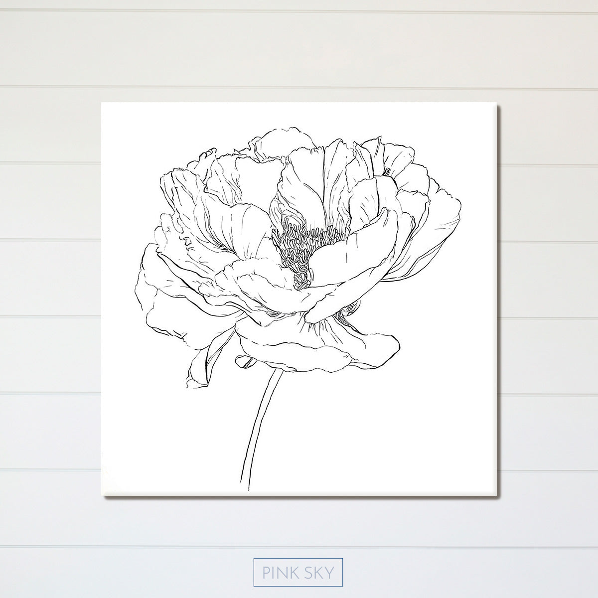 Peony