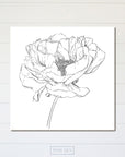 Peony