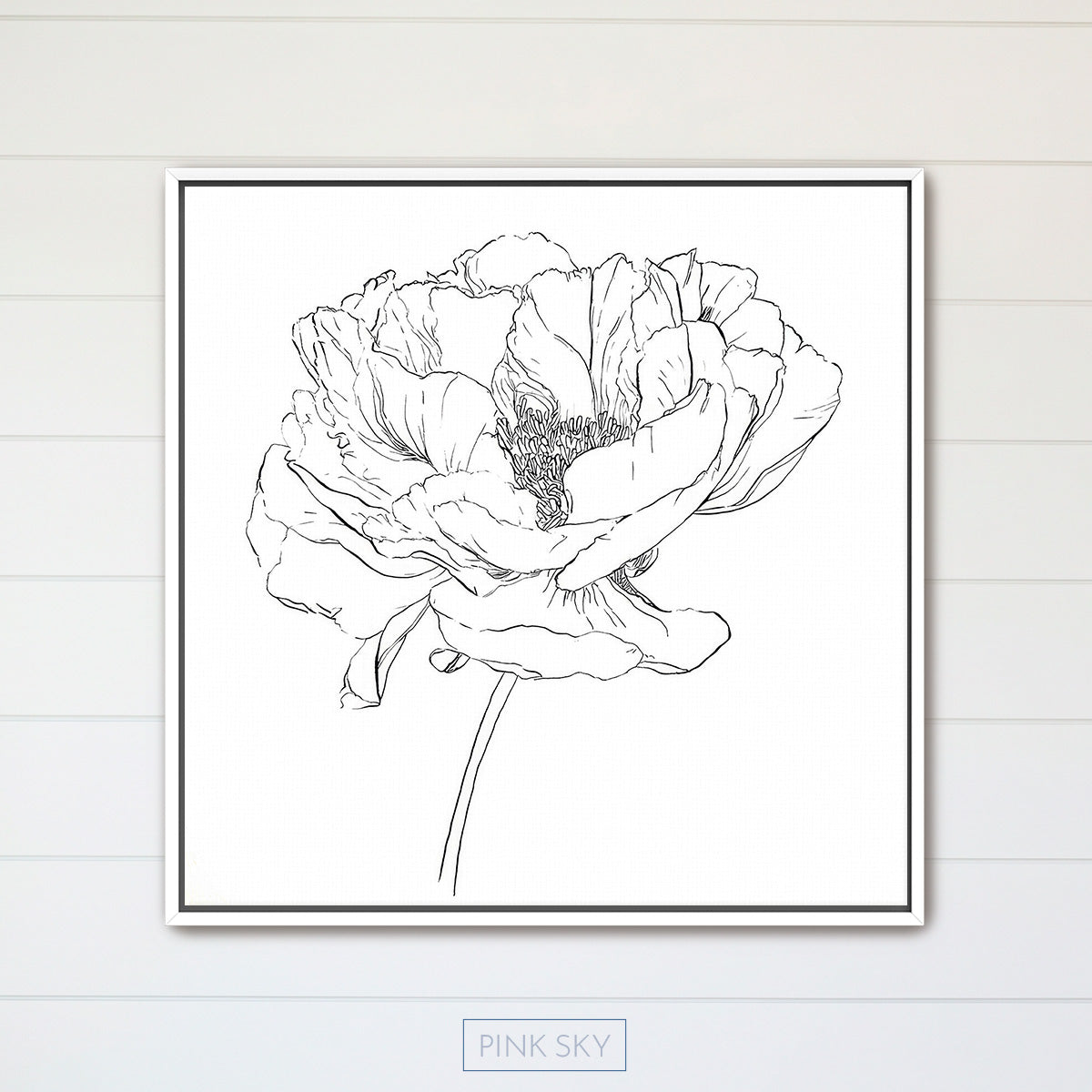 Peony