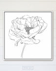 Peony