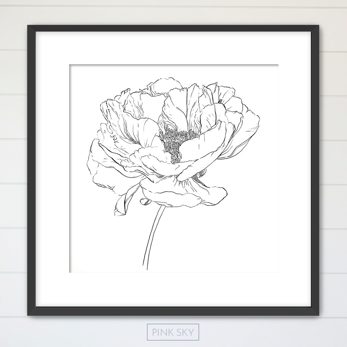 Peony