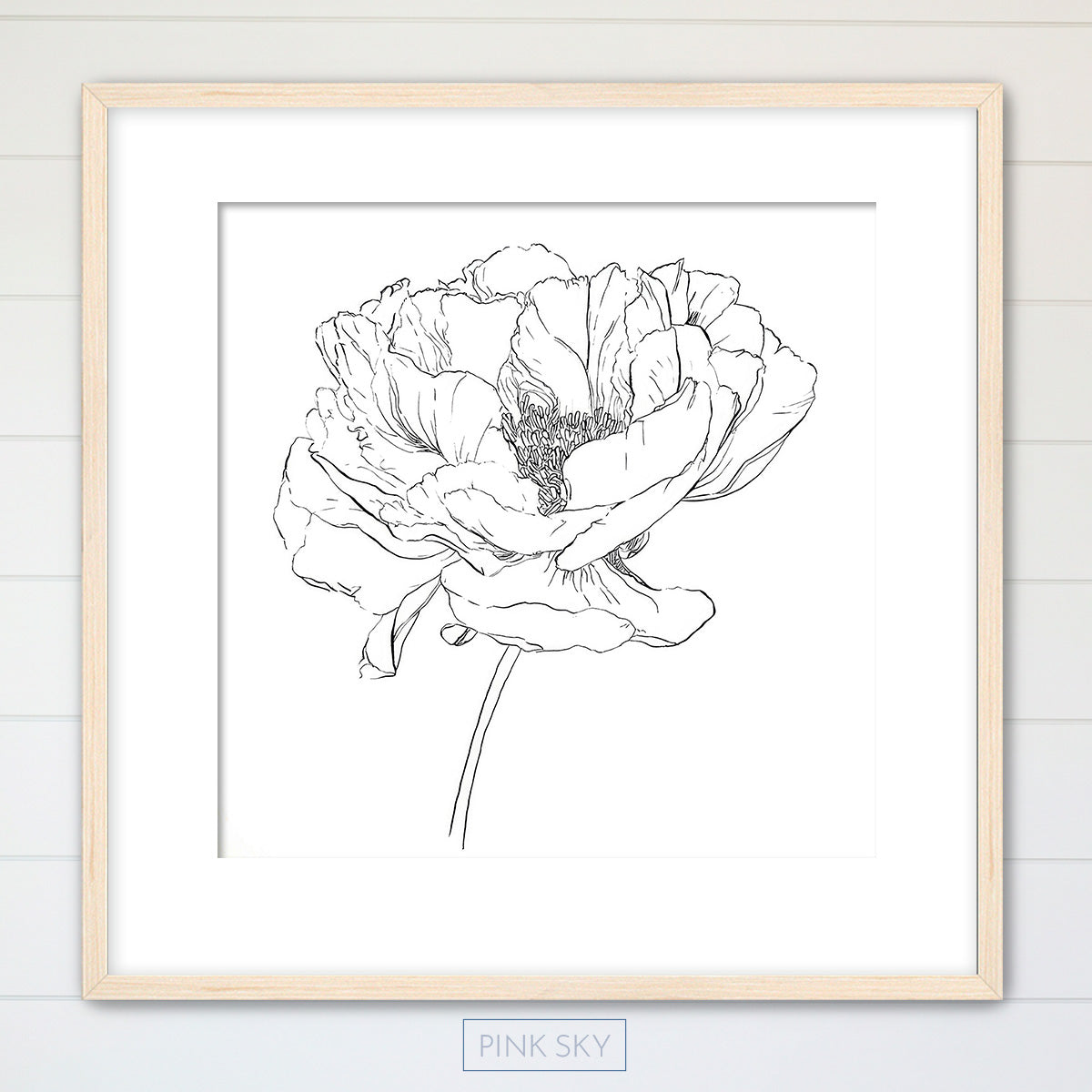 Peony