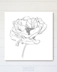 Peony