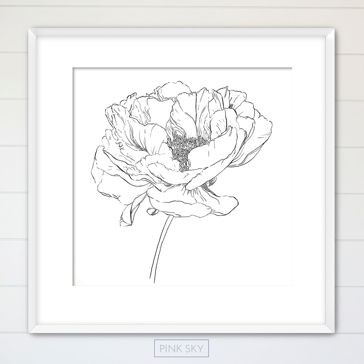 Peony