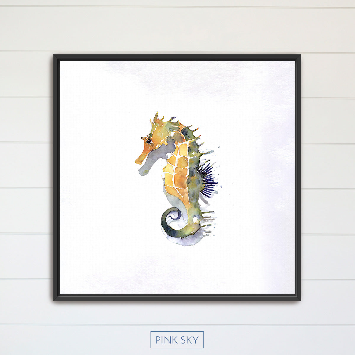Seahorse