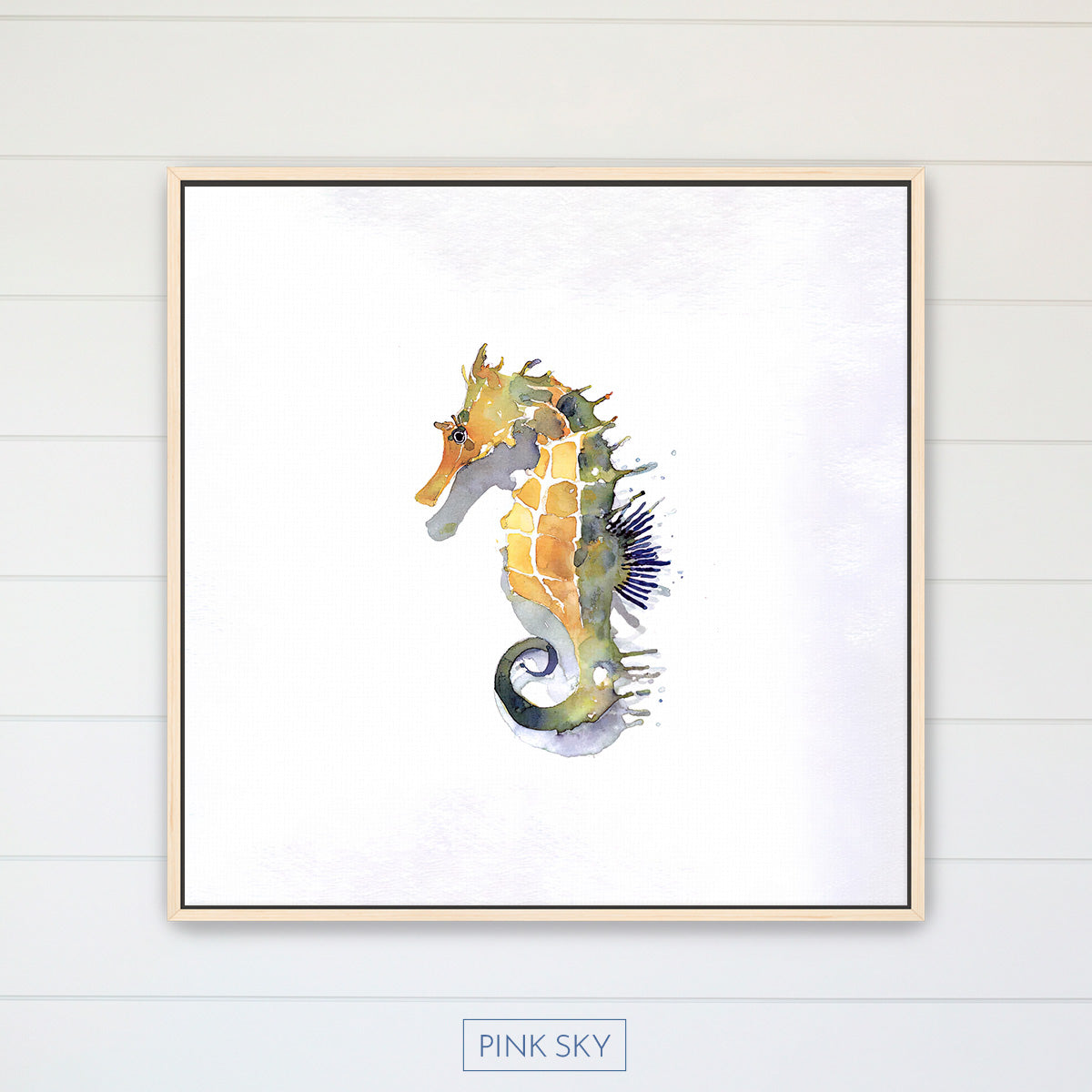 Seahorse