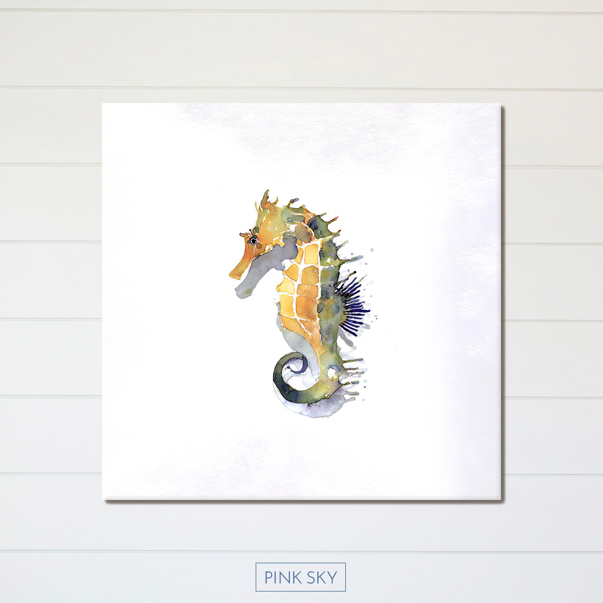 Seahorse