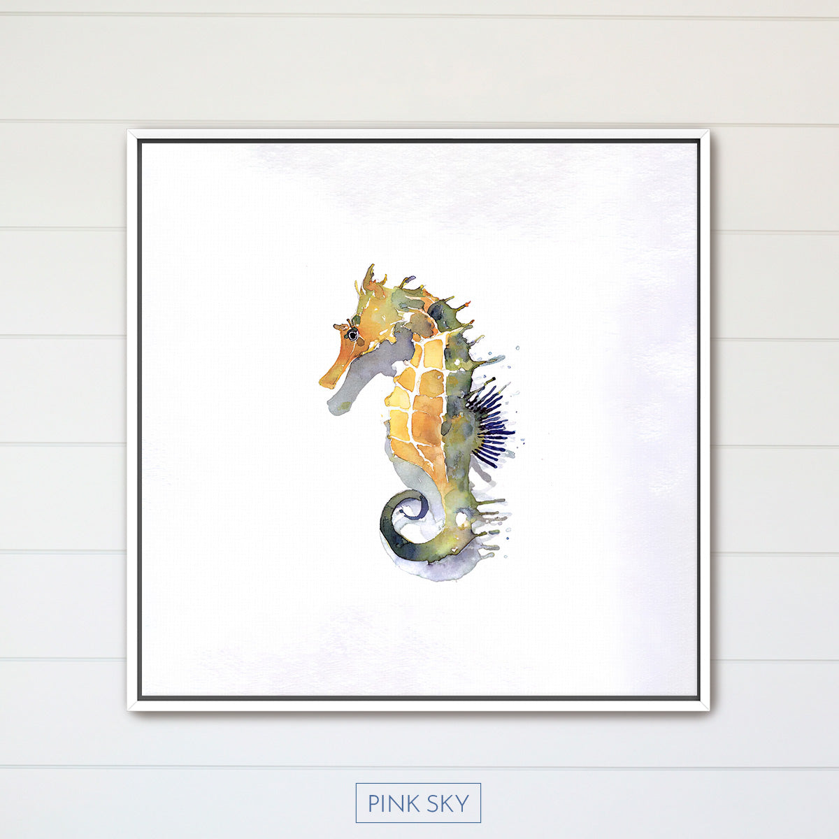 Seahorse