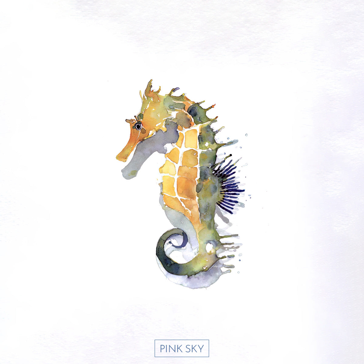 Seahorse
